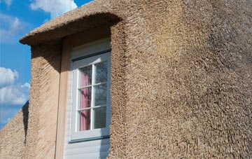 Meavy thatch roof disadvantages